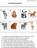 Animals Description 1